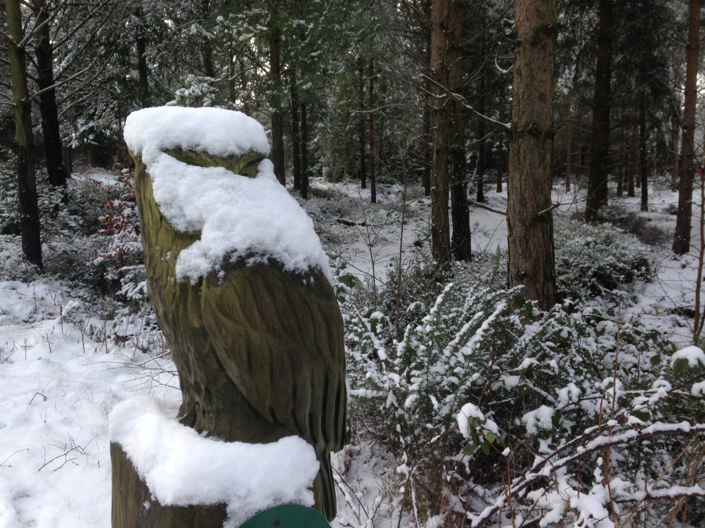 Snow at Centerparcs