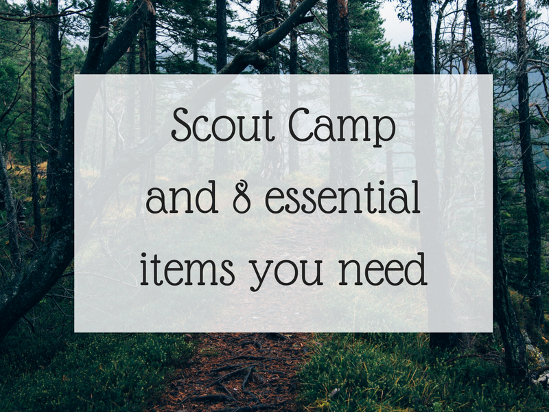 Scout Camp