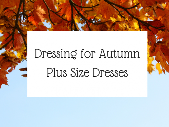Plus Size Autumn Dresses
