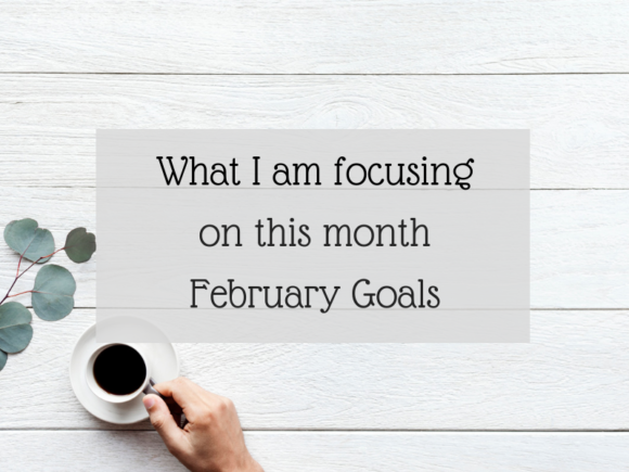 What I am focusing on this month - February Goals